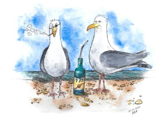 Featured image for Чайка с чёрной головой. Чем питаются чайки на Финском заливе в Хельсинки?